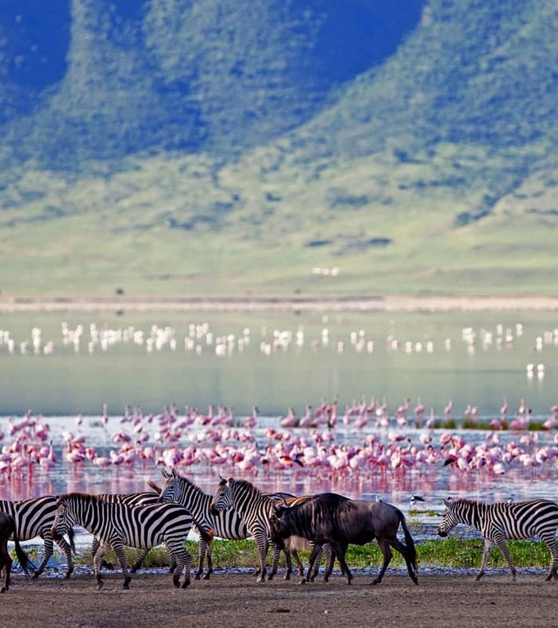 3-days-serengeti-ngorongoro-crater-safari