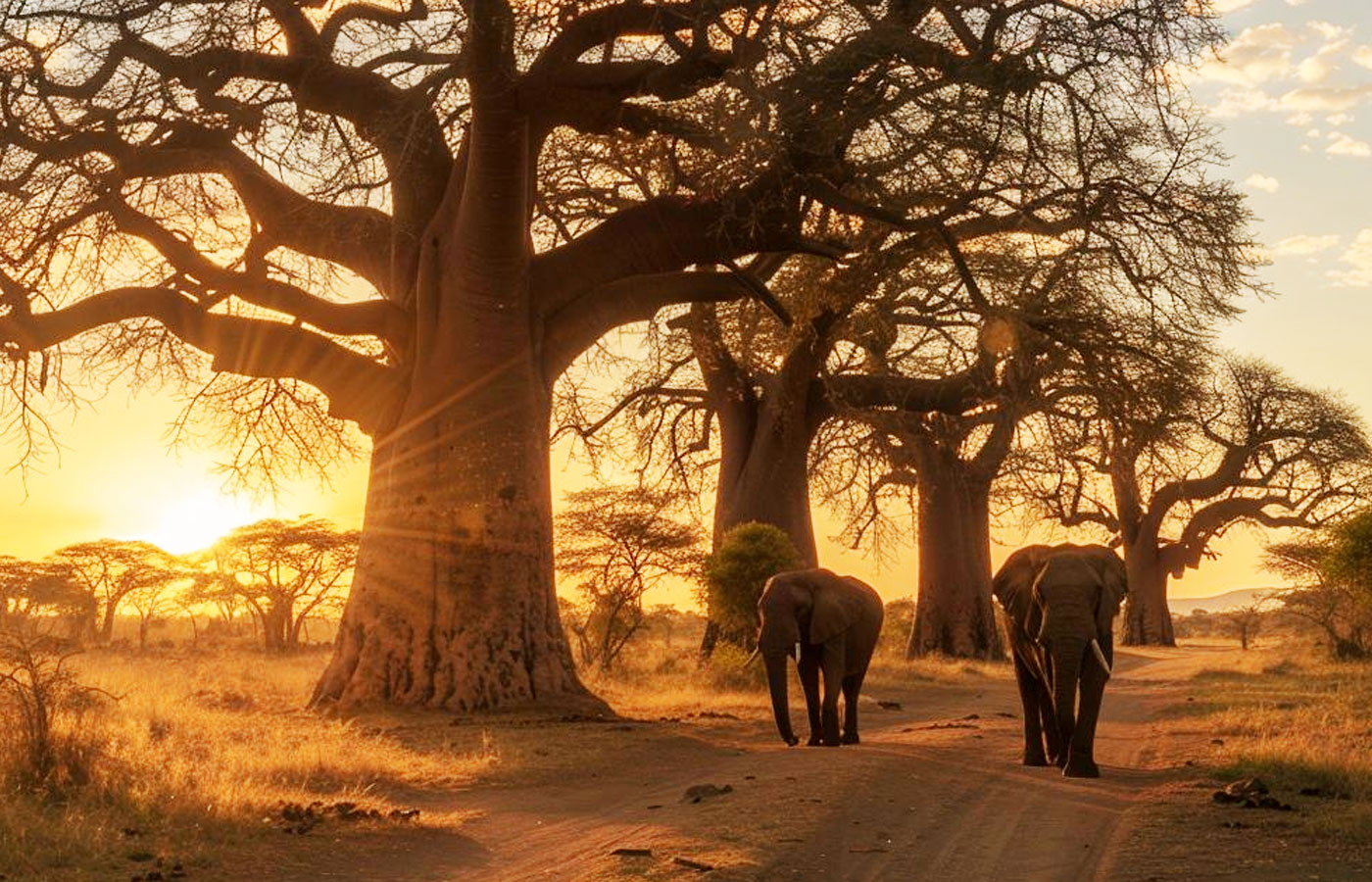 3-days-tarangire-ngorongoro-crater-safari