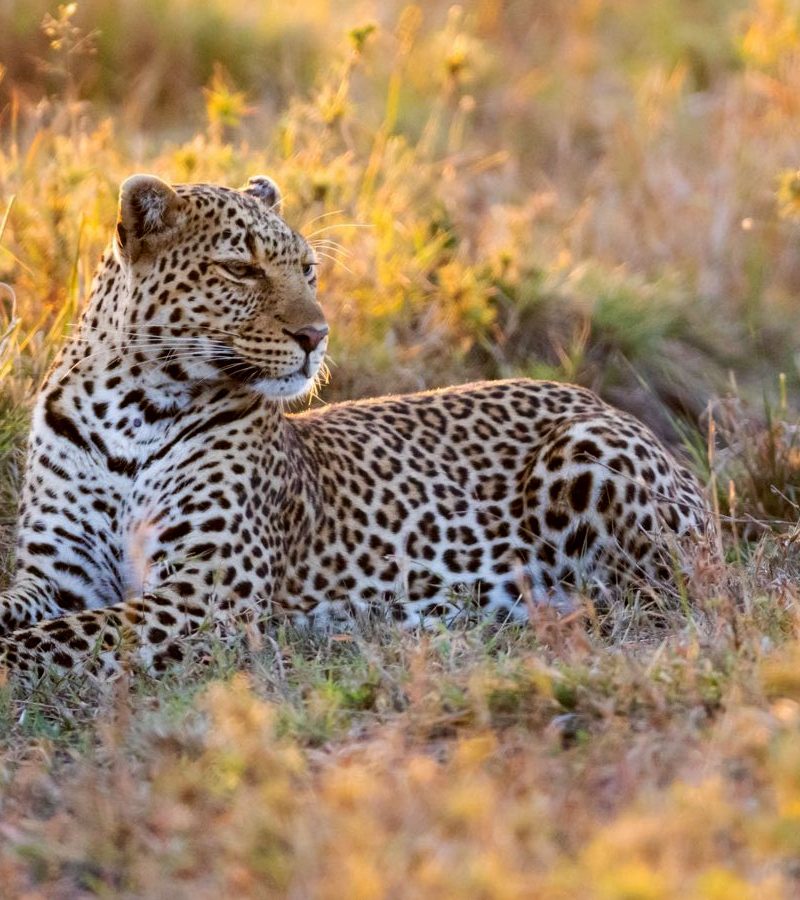 5-days-kenya-safari-holiday