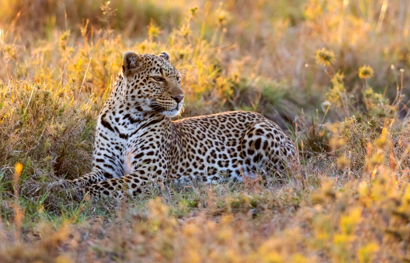 5-days-kenya-safari-holiday