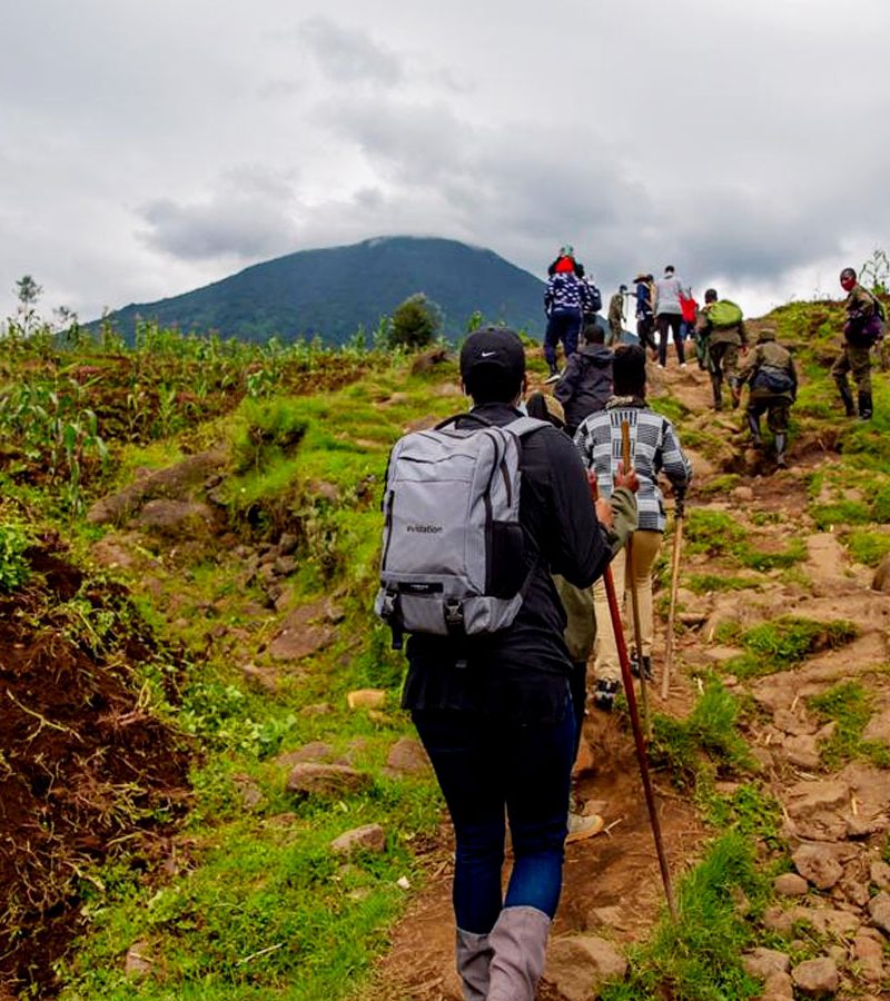 7-days-rwanda-safari-hiking-adventure