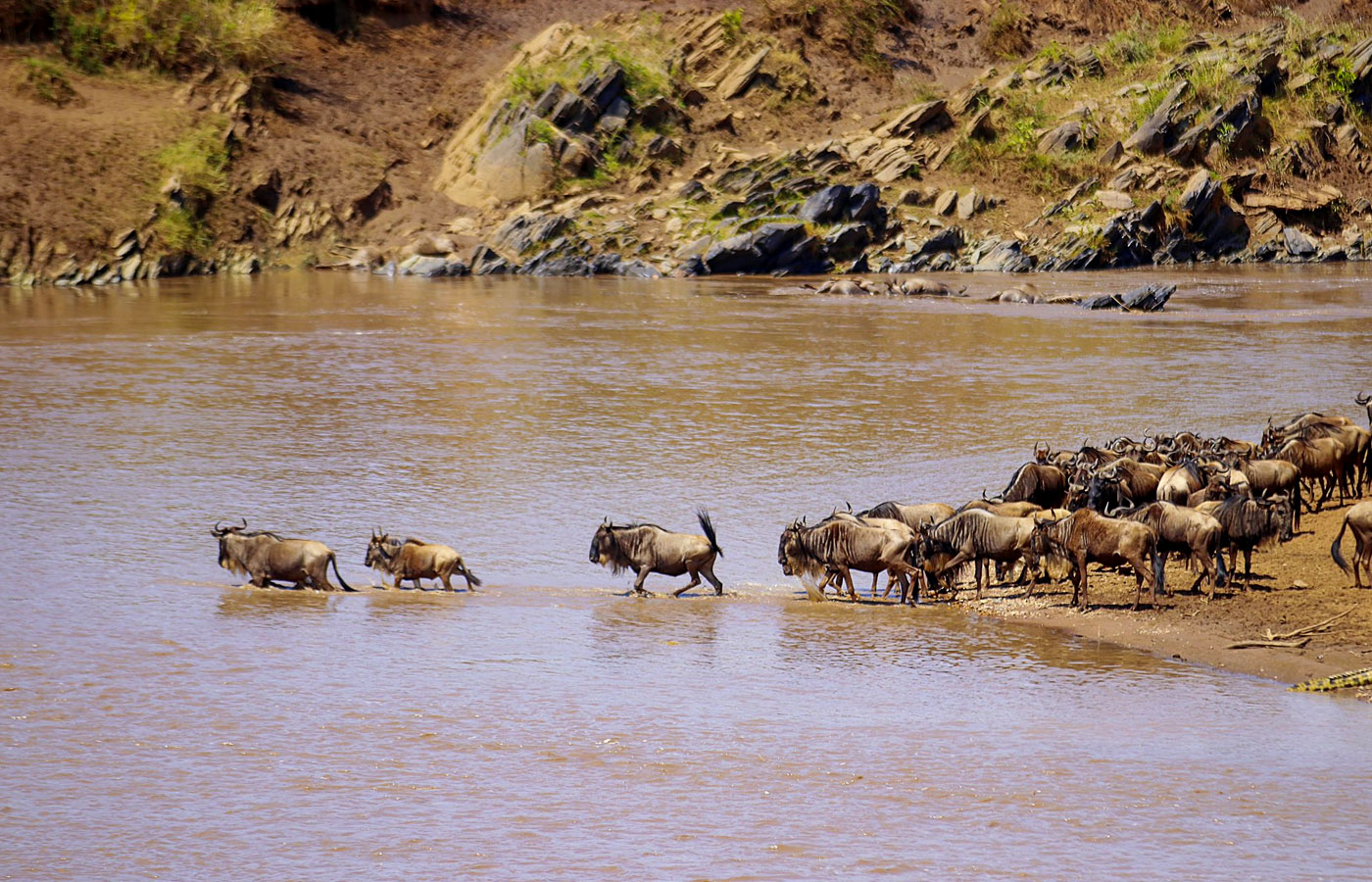 7-days-tanzania-wildebeest-migration-safari