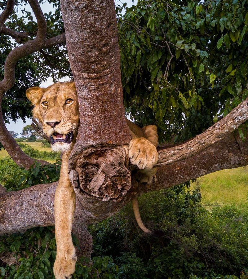 3-days-queen-elizabeth-national-park